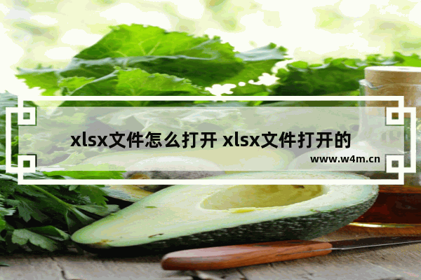 xlsx文件怎么打开 xlsx文件打开的方法