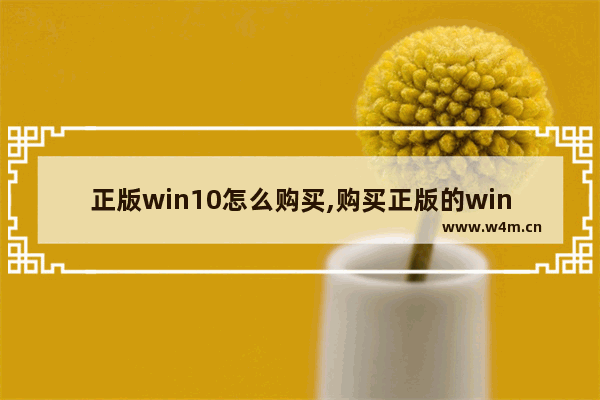 正版win10怎么购买,购买正版的windows 10