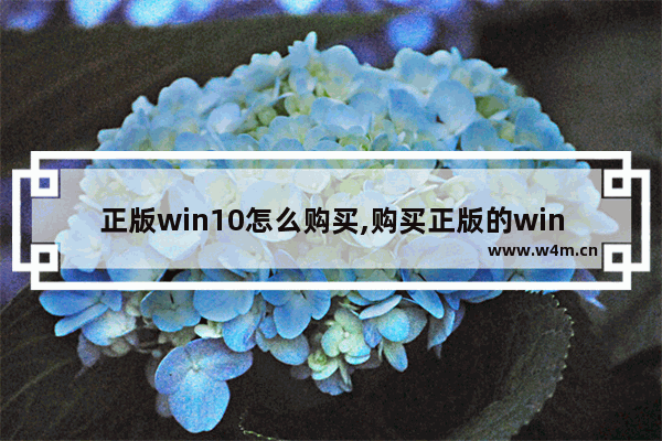 正版win10怎么购买,购买正版的windows 10