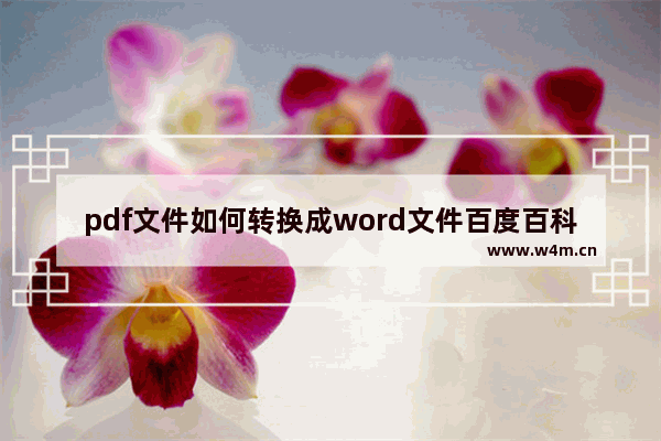 pdf文件如何转换成word文件百度百科,pdf文档如何转换为word