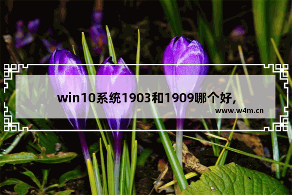 win10系统1903和1909哪个好,win10 1909好用吗