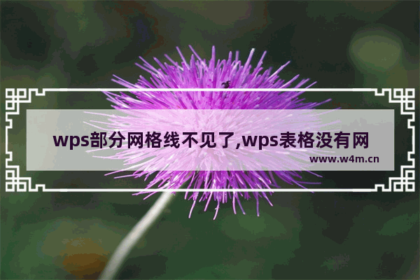 wps部分网格线不见了,wps表格没有网格线是怎么回事