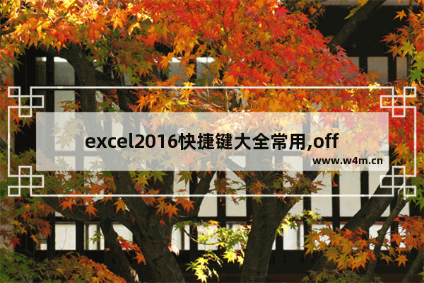 excel2016快捷键大全常用,office2016快捷键一览表