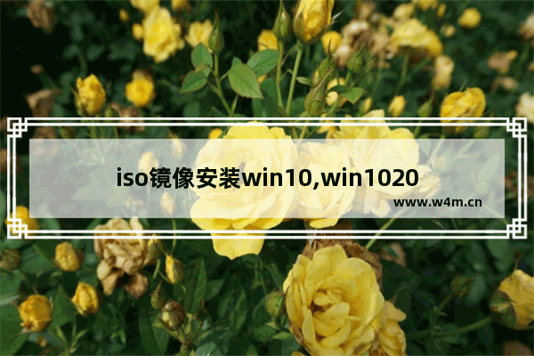 iso镜像安装win10,win102004官方原版iso镜像