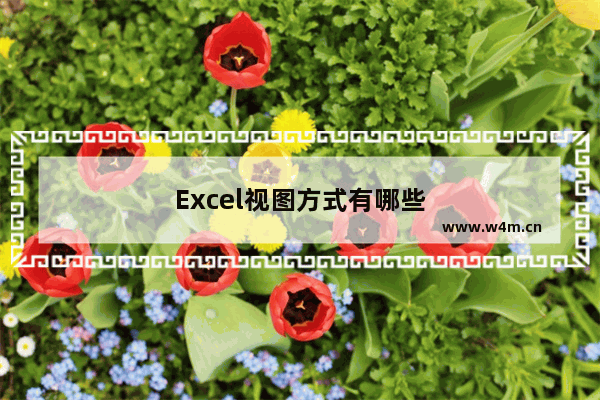 Excel视图方式有哪些