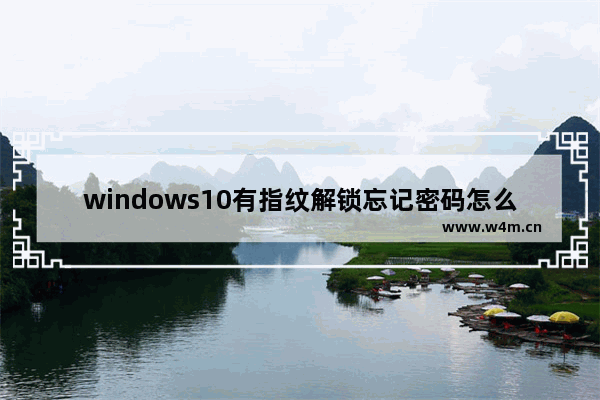 windows10有指纹解锁忘记密码怎么办,win10如何默认指纹解锁