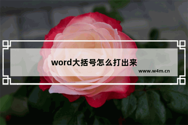 word大括号怎么打出来