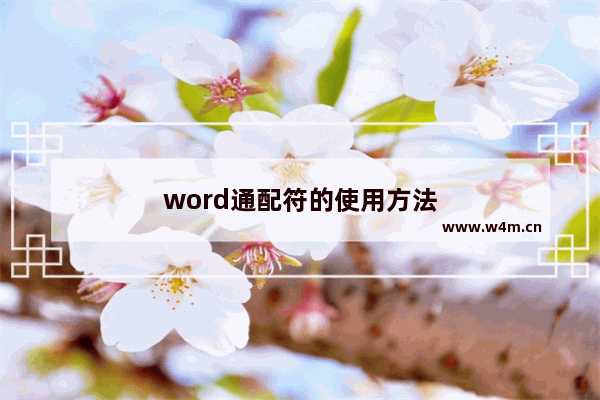 word通配符的使用方法