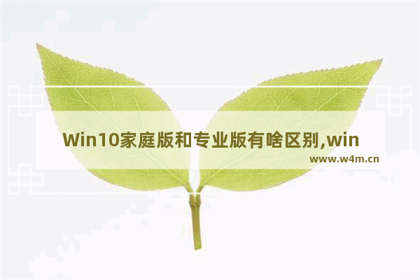 Win10家庭版和专业版有啥区别,win10家庭版与win10专业版区别