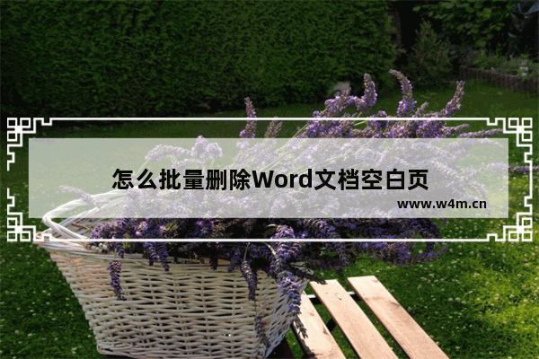 怎么批量删除Word文档空白页