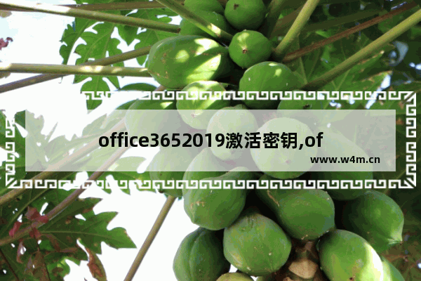 office3652019激活密钥,office激活密钥microsoft365