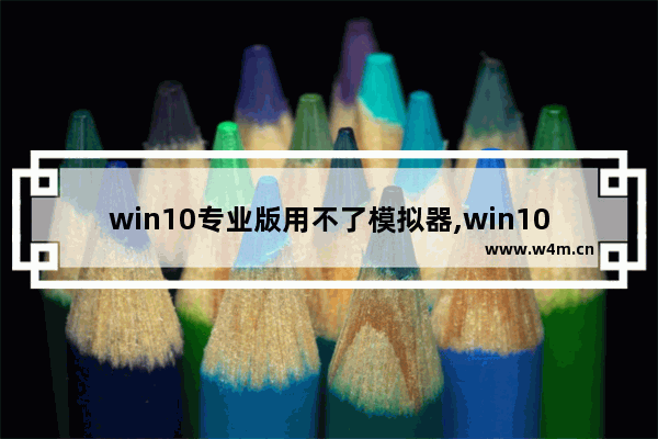 win10专业版用不了模拟器,win10体验版升级正式版