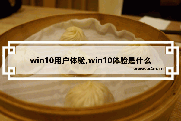 win10用户体验,win10体验是什么意思