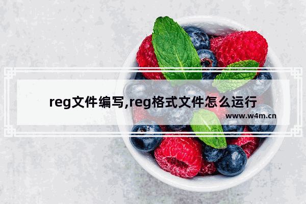 reg文件编写,reg格式文件怎么运行