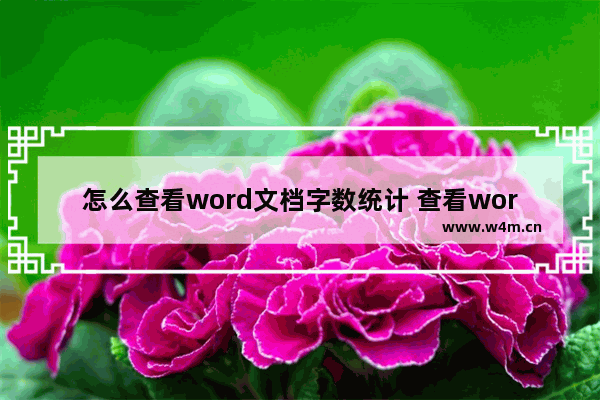 怎么查看word文档字数统计 查看word文档数据统计的步骤