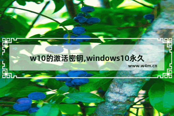 w10的激活密钥,windows10永久激活码 win10专业版密钥