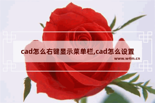 cad怎么右键显示菜单栏,cad怎么设置右键快捷菜单