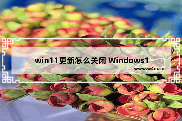 win11更新怎么关闭 Windows11关闭更新的步骤