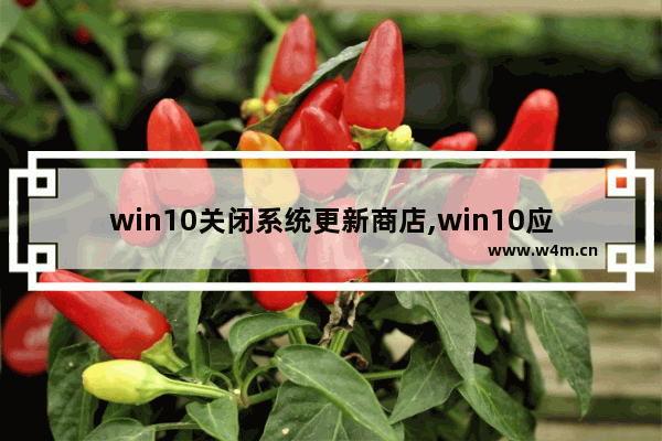 win10关闭系统更新商店,win10应用商店更新不了