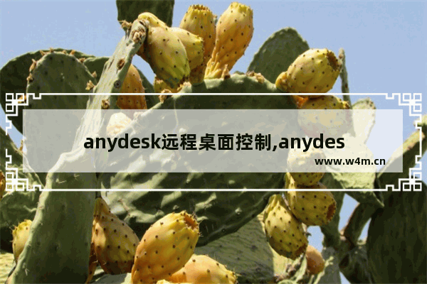 anydesk远程桌面控制,anydesk如何使用