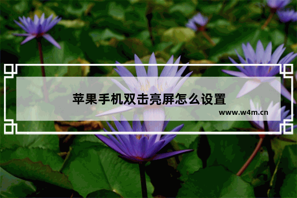 苹果手机双击亮屏怎么设置