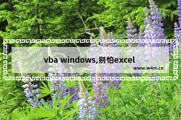 vba windows,别怕excel vba其实很简单