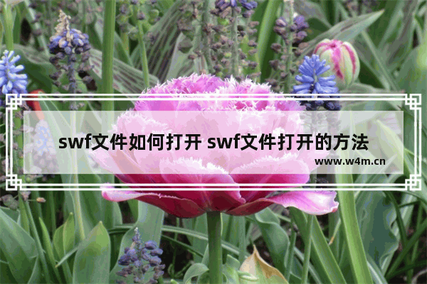 swf文件如何打开 swf文件打开的方法