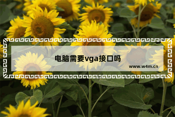 电脑需要vga接口吗