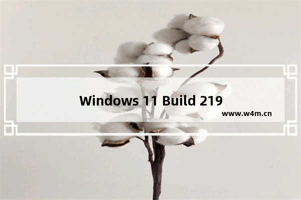 Windows 11 Build 21996,Windows 10 Build 21337