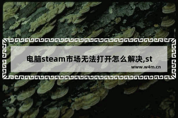 电脑steam市场无法打开怎么解决,steam打不开市场怎么办