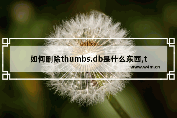 如何删除thumbs.db是什么东西,thumbs. db怎么删除