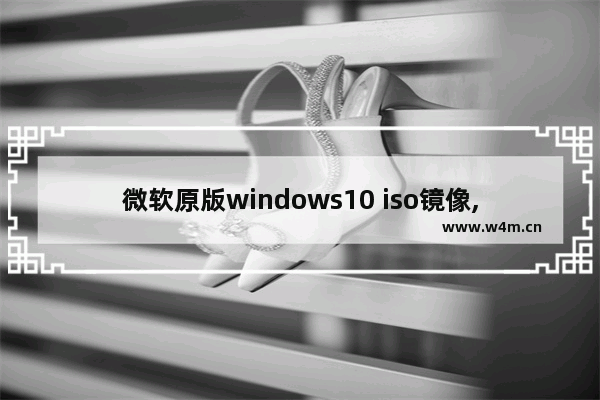 微软原版windows10 iso镜像,微软官方下载的win10镜像不是iso文件_1