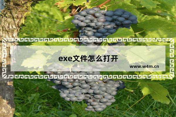 exe文件怎么打开