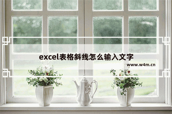 excel表格斜线怎么输入文字