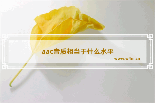 aac音质相当于什么水平