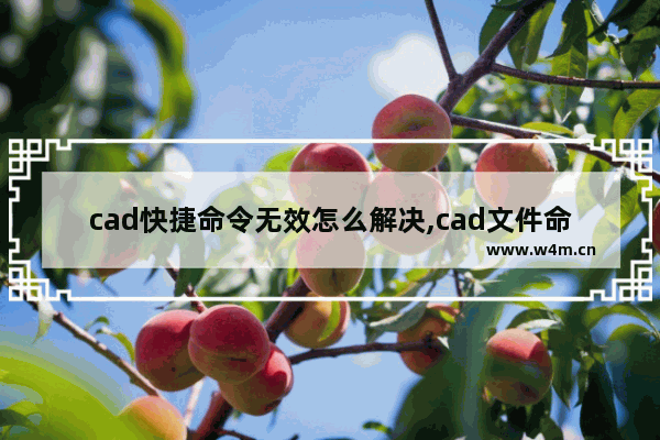 cad快捷命令无效怎么解决,cad文件命令失效怎么办