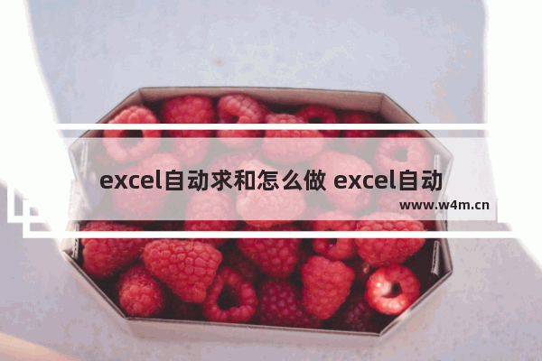 excel自动求和怎么做 excel自动求和的两种方法