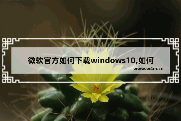 微软官方如何下载windows10,如何从微软官网下载windows10