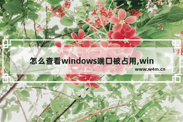 怎么查看windows端口被占用,windows10查看端口占用程序