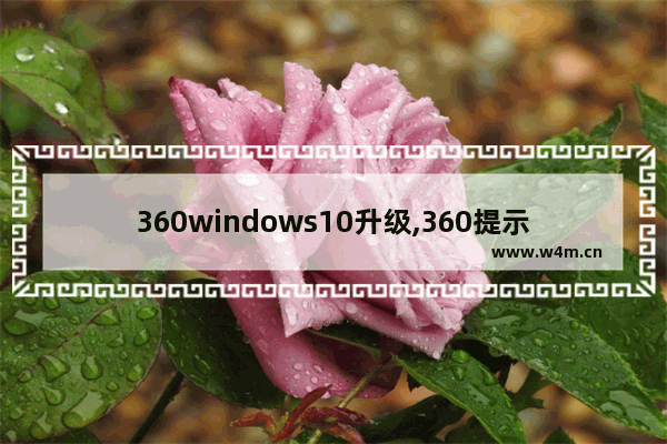 360windows10升级,360提示win10系统升级