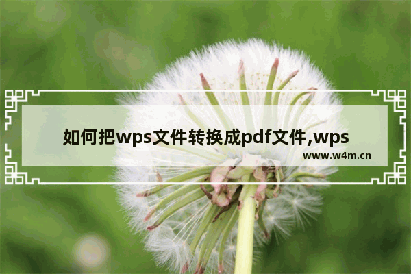 如何把wps文件转换成pdf文件,wps如何将文件转换为pdf