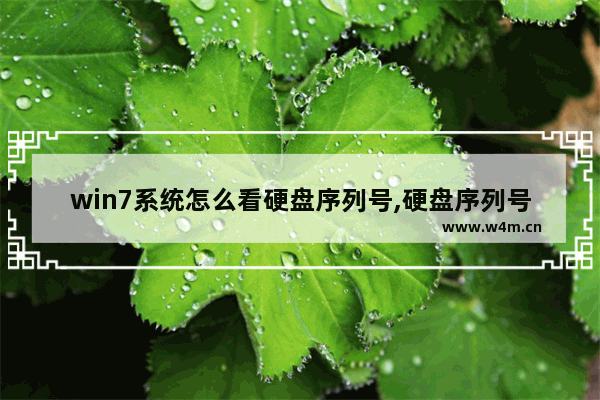 win7系统怎么看硬盘序列号,硬盘序列号怎么查看win7