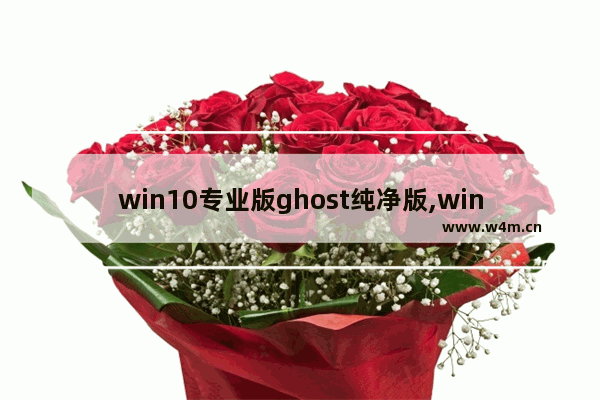 win10专业版ghost纯净版,win10安装版和ghost版哪个好