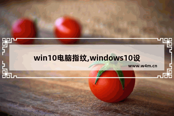 win10电脑指纹,windows10设置指纹识别