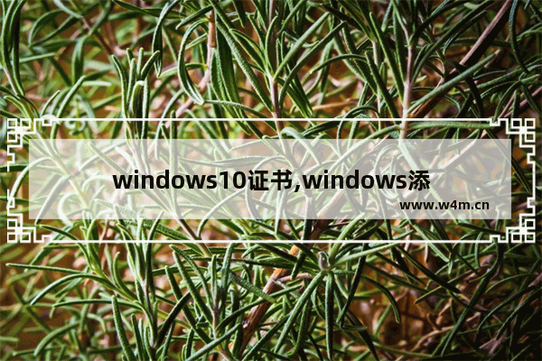 windows10证书,windows添加信任证书