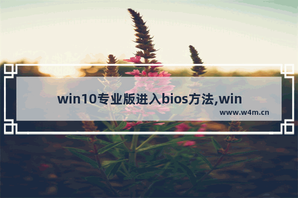 win10专业版进入bios方法,window10如何打开bios