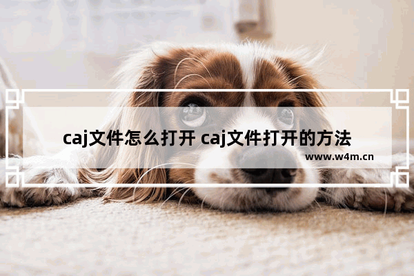 caj文件怎么打开 caj文件打开的方法