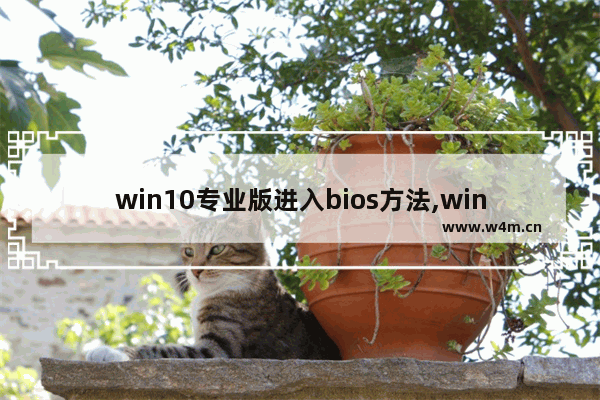 win10专业版进入bios方法,window10如何打开bios