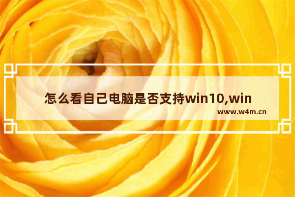 怎么看自己电脑是否支持win10,win10电脑自检