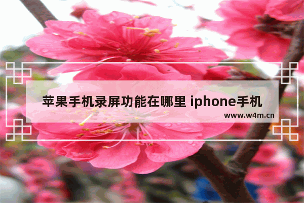 苹果手机录屏功能在哪里 iphone手机开启录屏功能的步骤